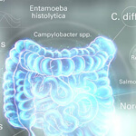 Gastroenteritiserreger mit Multiplex-PCR